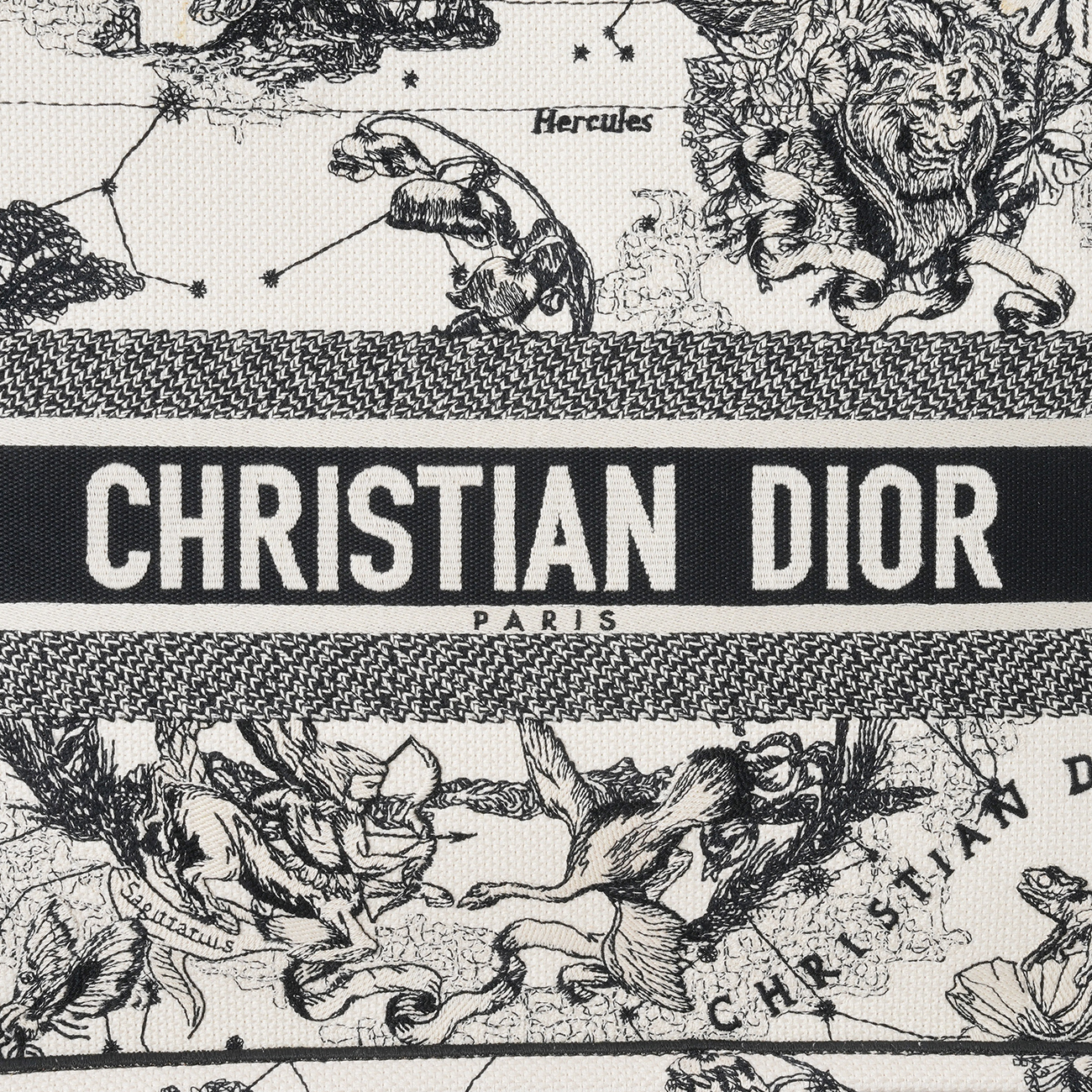 CHRISTIAN DIOR(USED)디올 조디악 북토트 미듐